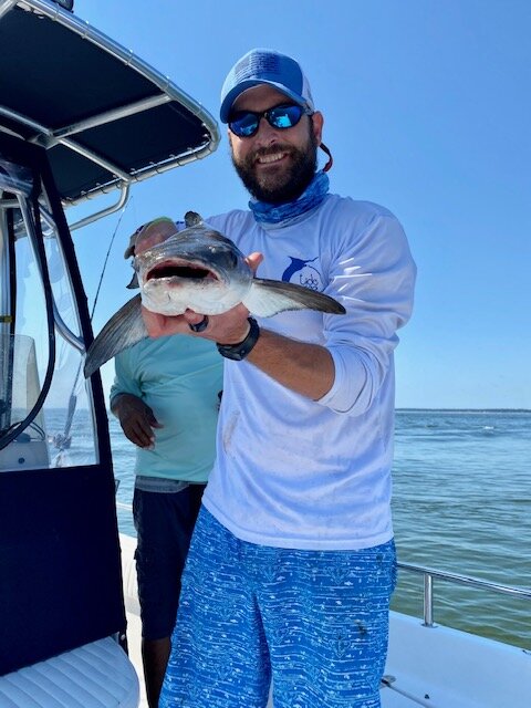 cobia zoom out.jpg