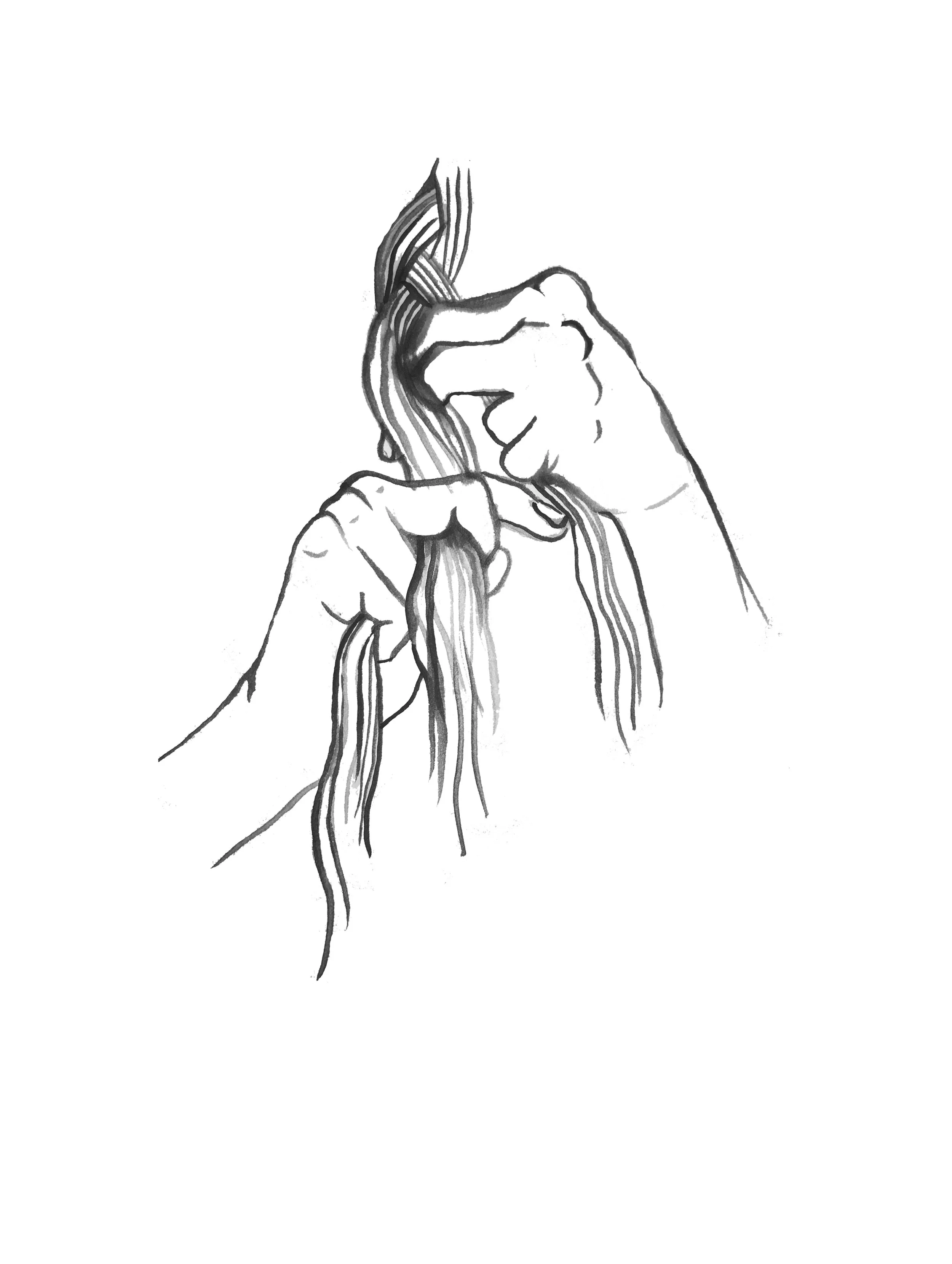 hands_braid.jpg
