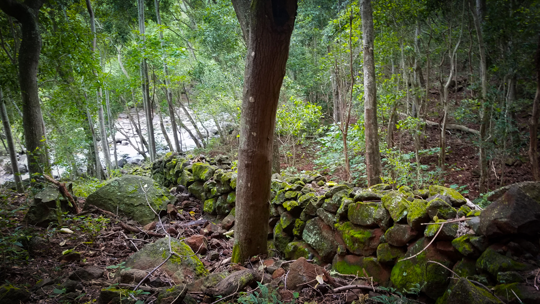 20180214_172010.jpg
