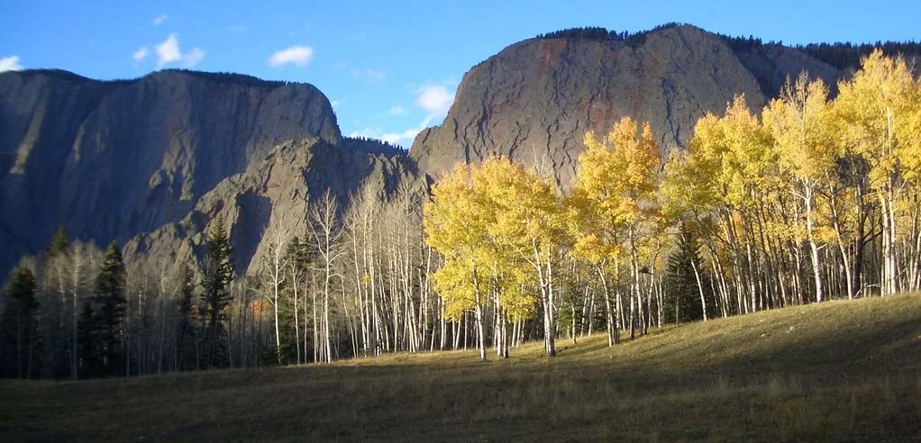 fall-05.jpg