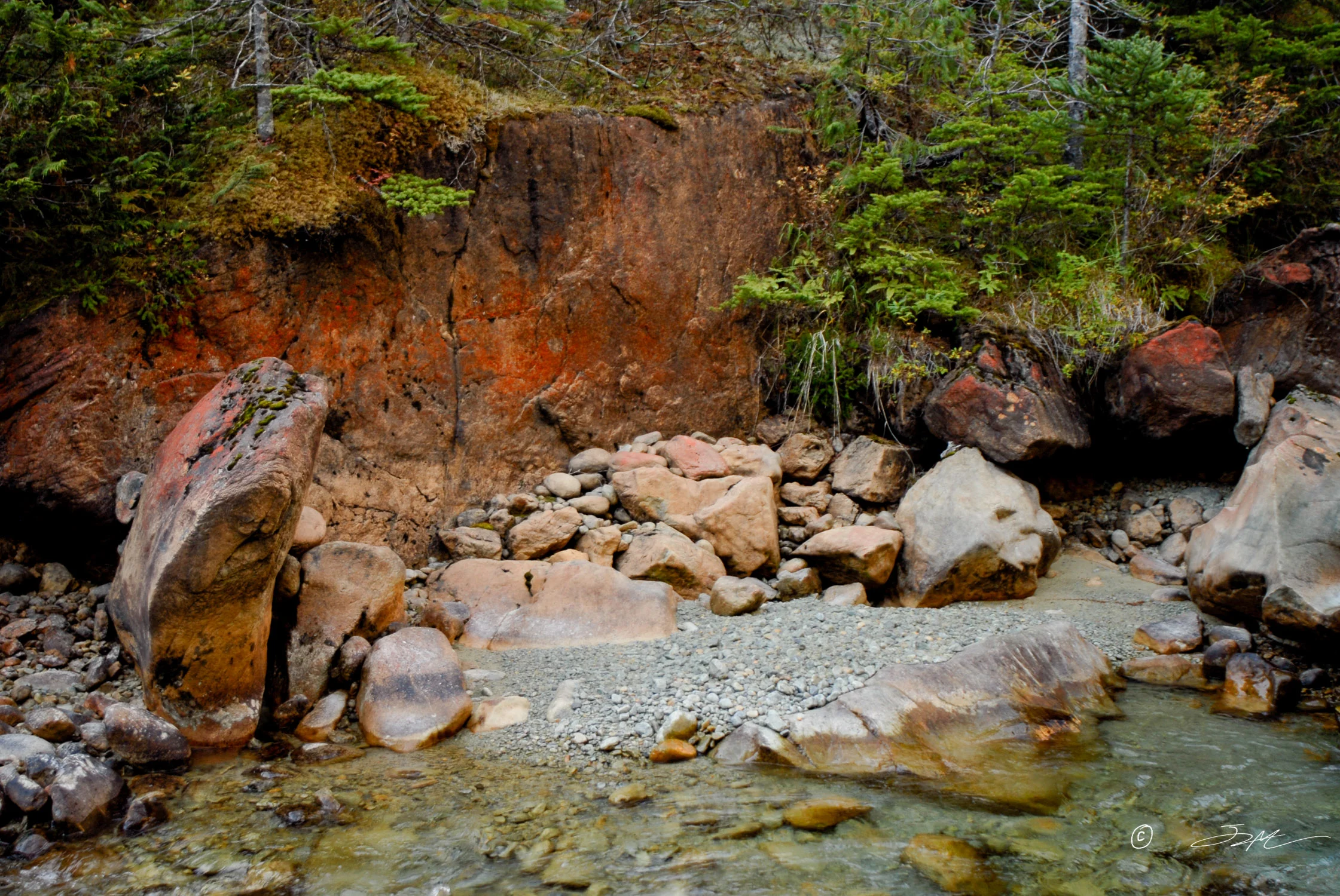 _DSC0797.jpg