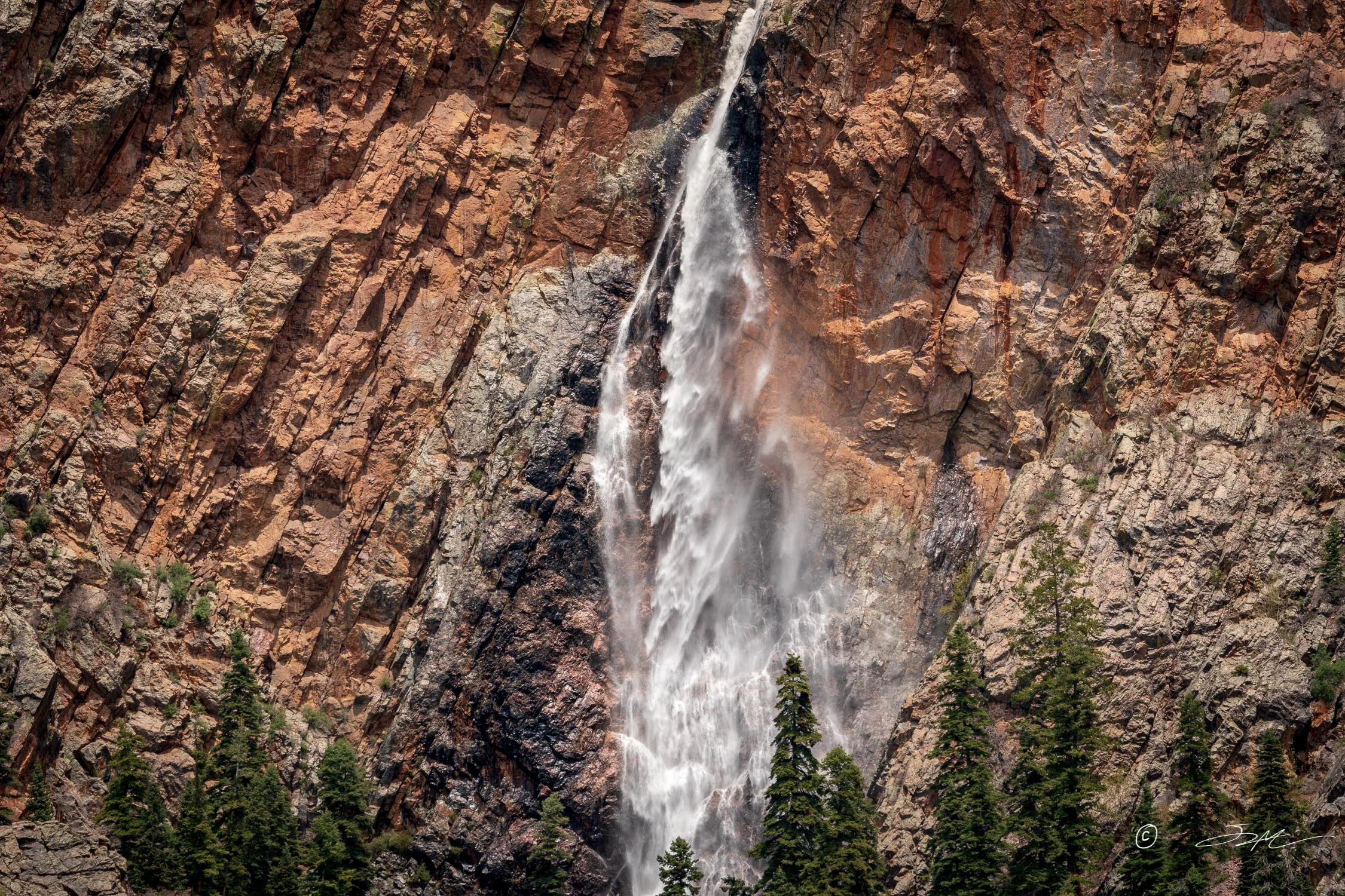 _DSC7026.jpg