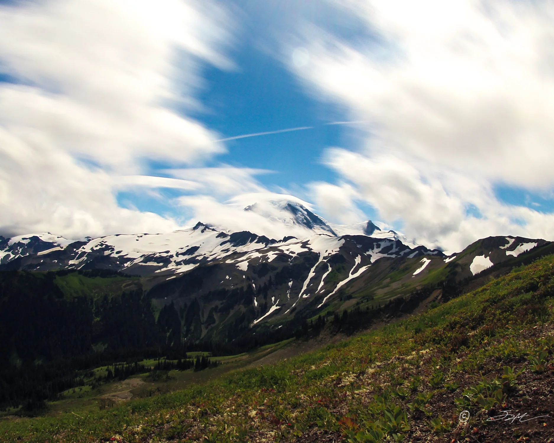 baker stacked timelapse E.jpg