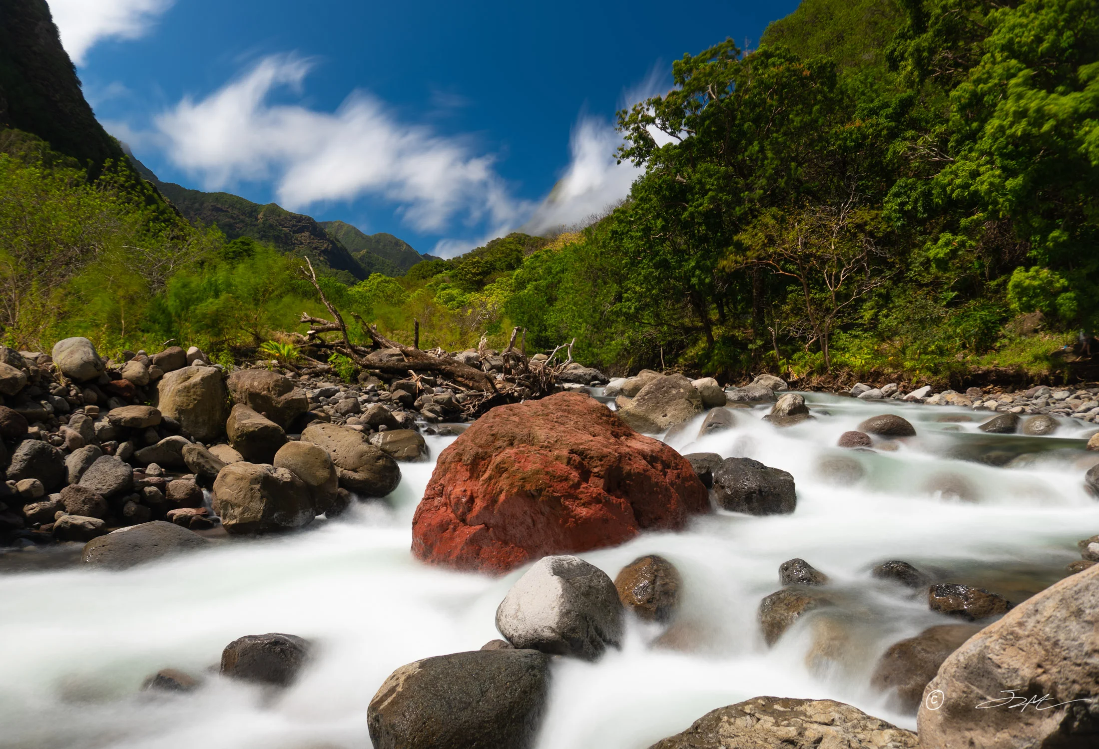 DSC03215-Edit.jpg