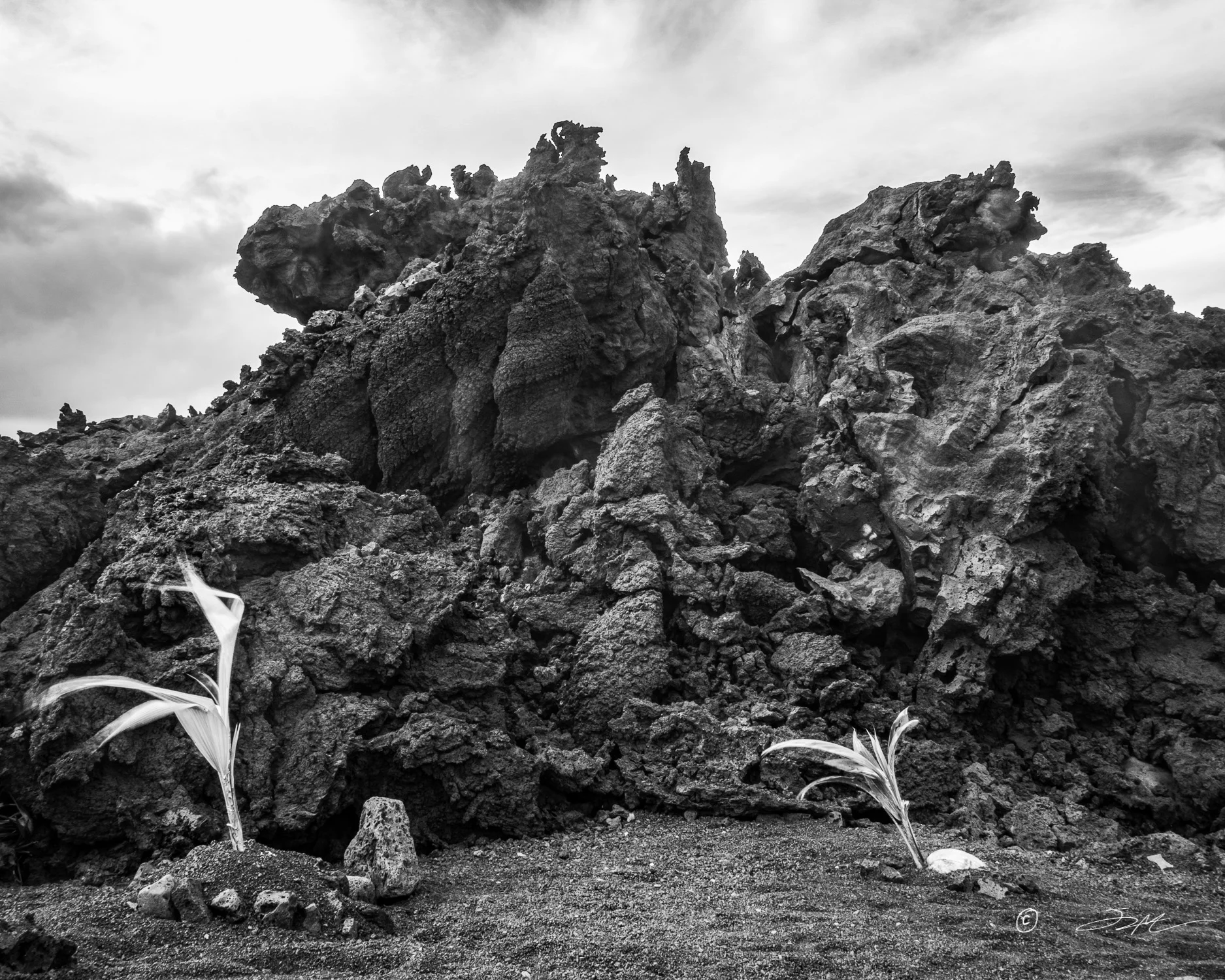 DSC06341-Edit-Edit-Edit.jpg