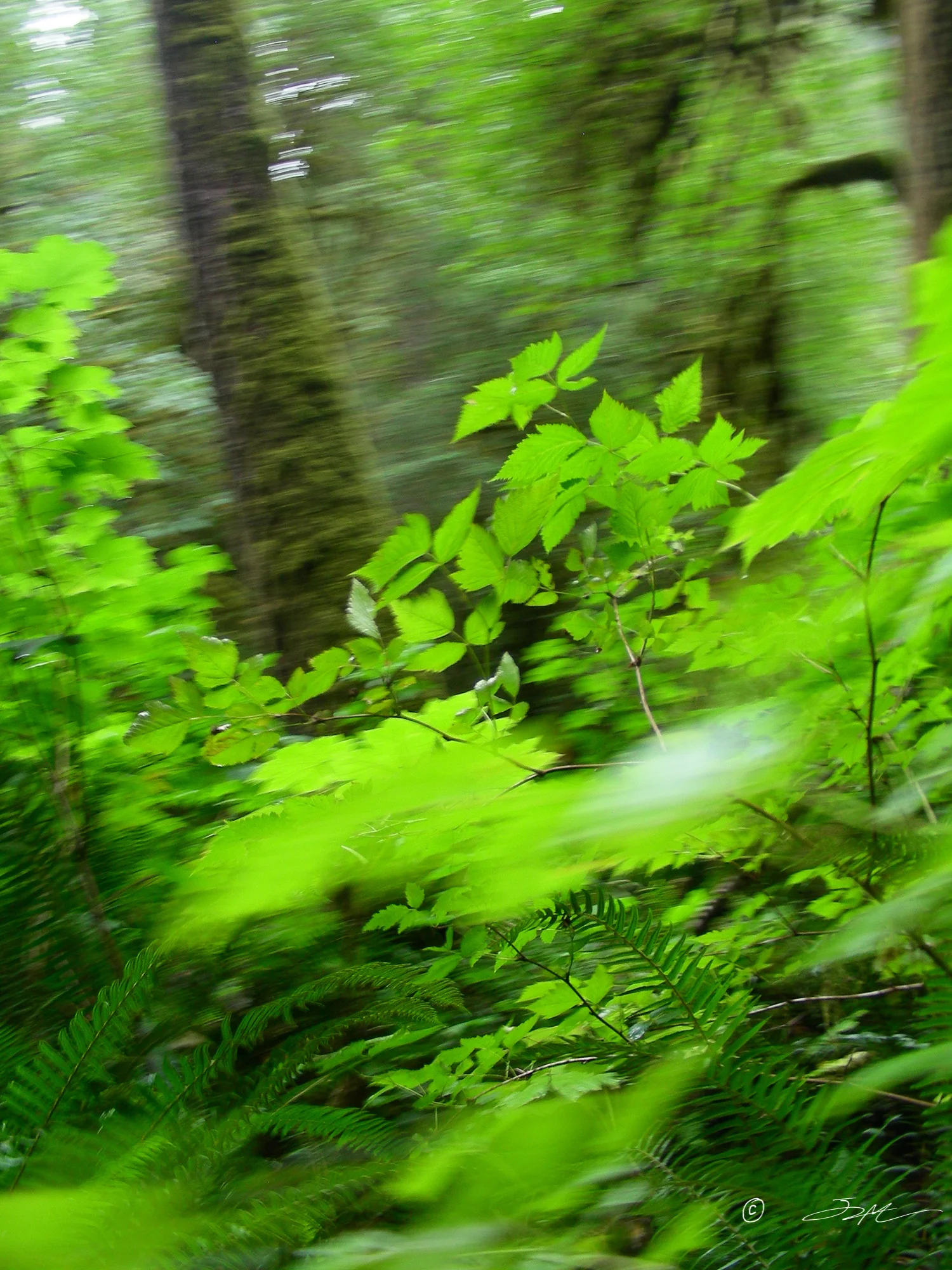 olympics blur.jpg