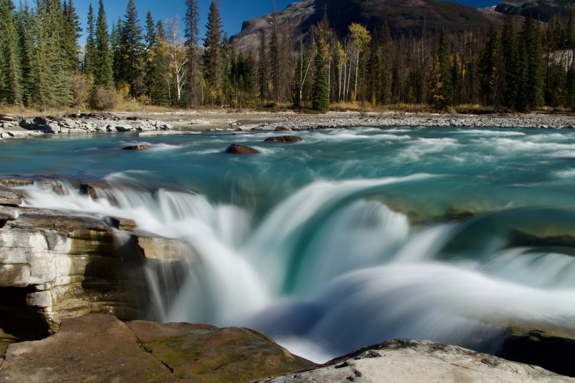 _DSC4557.jpg