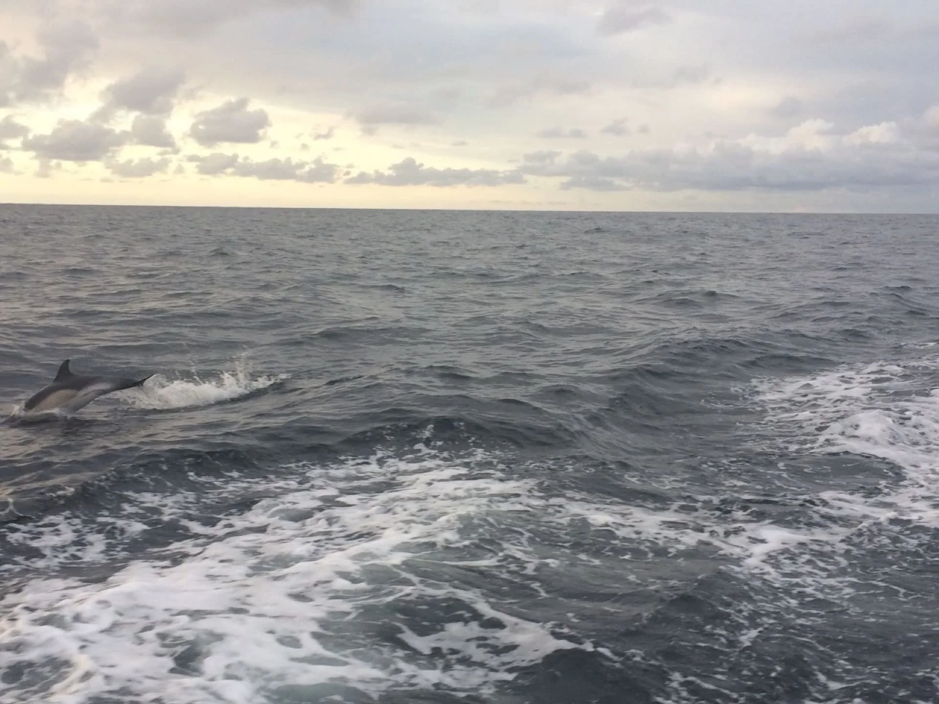 vendee2020_rolex_fastnet_2017_16.jpg