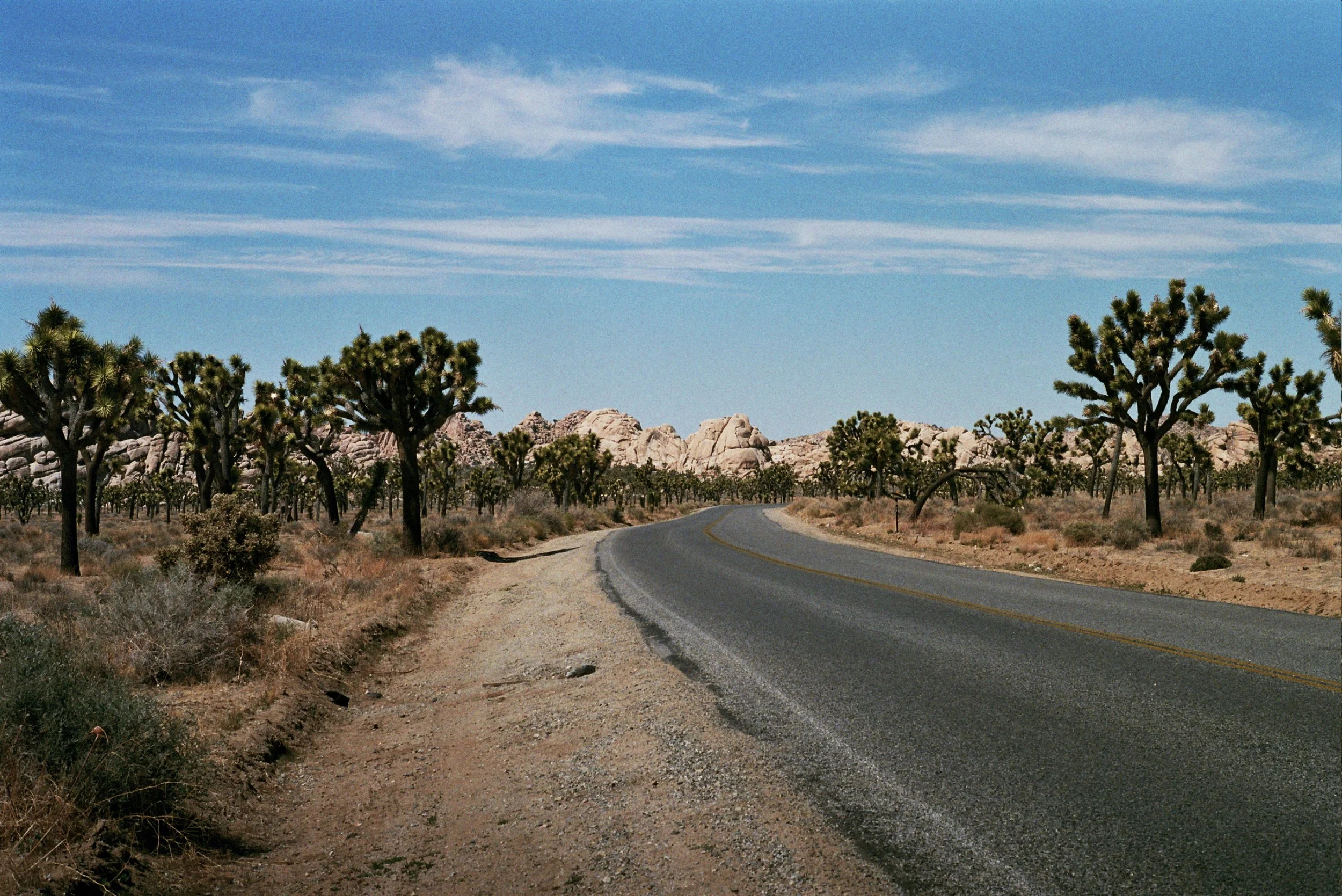 _15_0074.jpg
