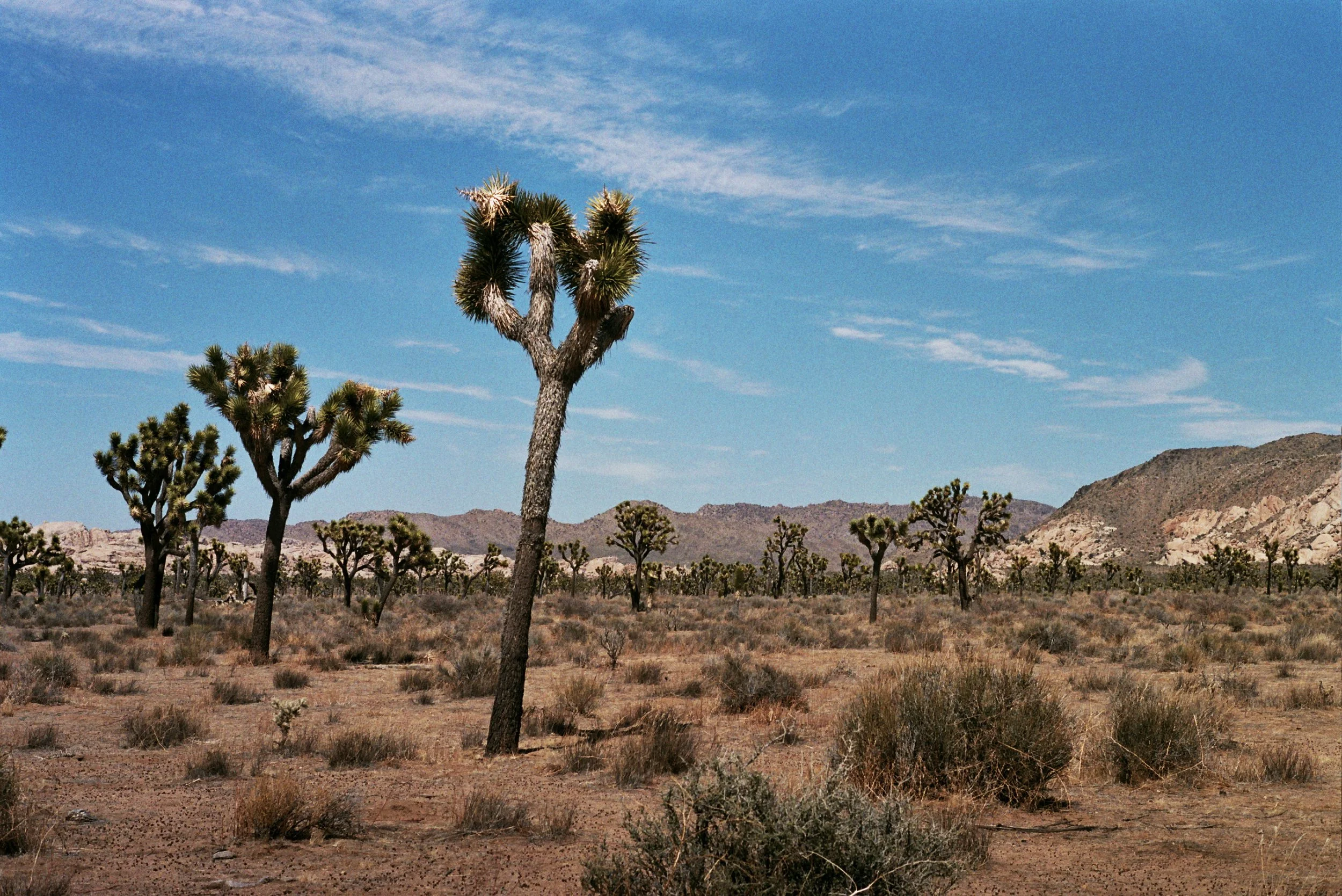 _13_0072.jpg