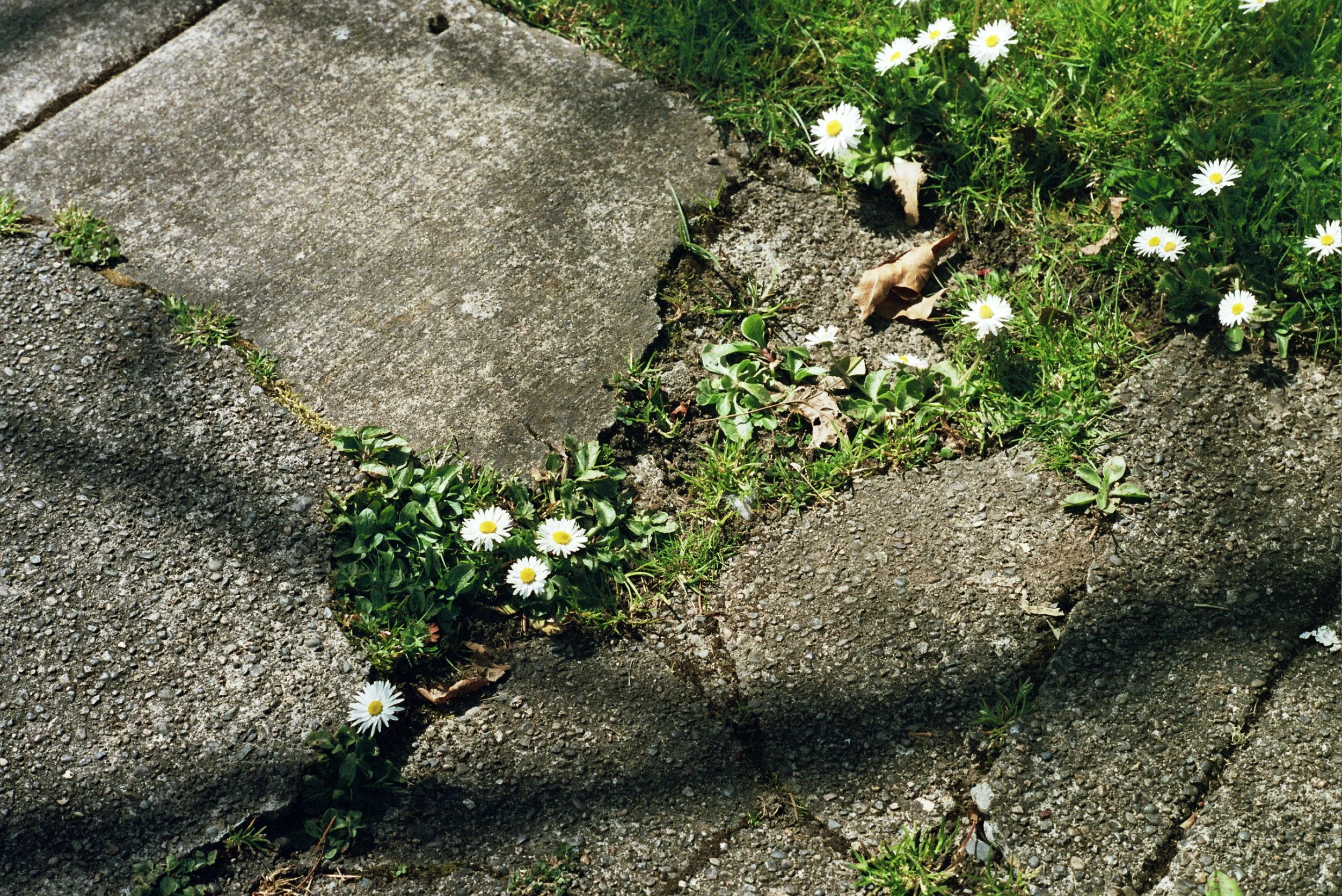 _34_0650.jpg