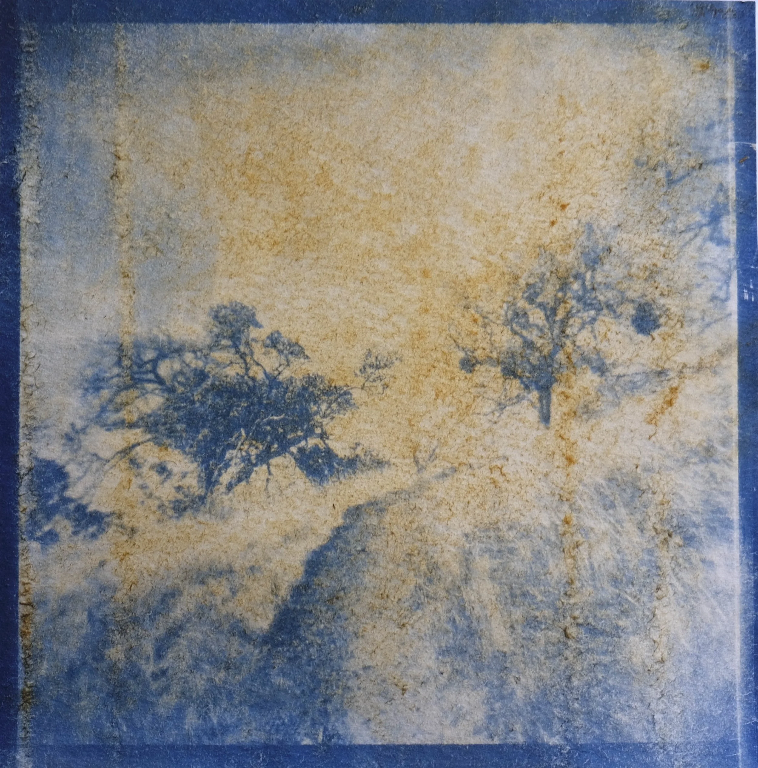 cyanotype 12.JPG