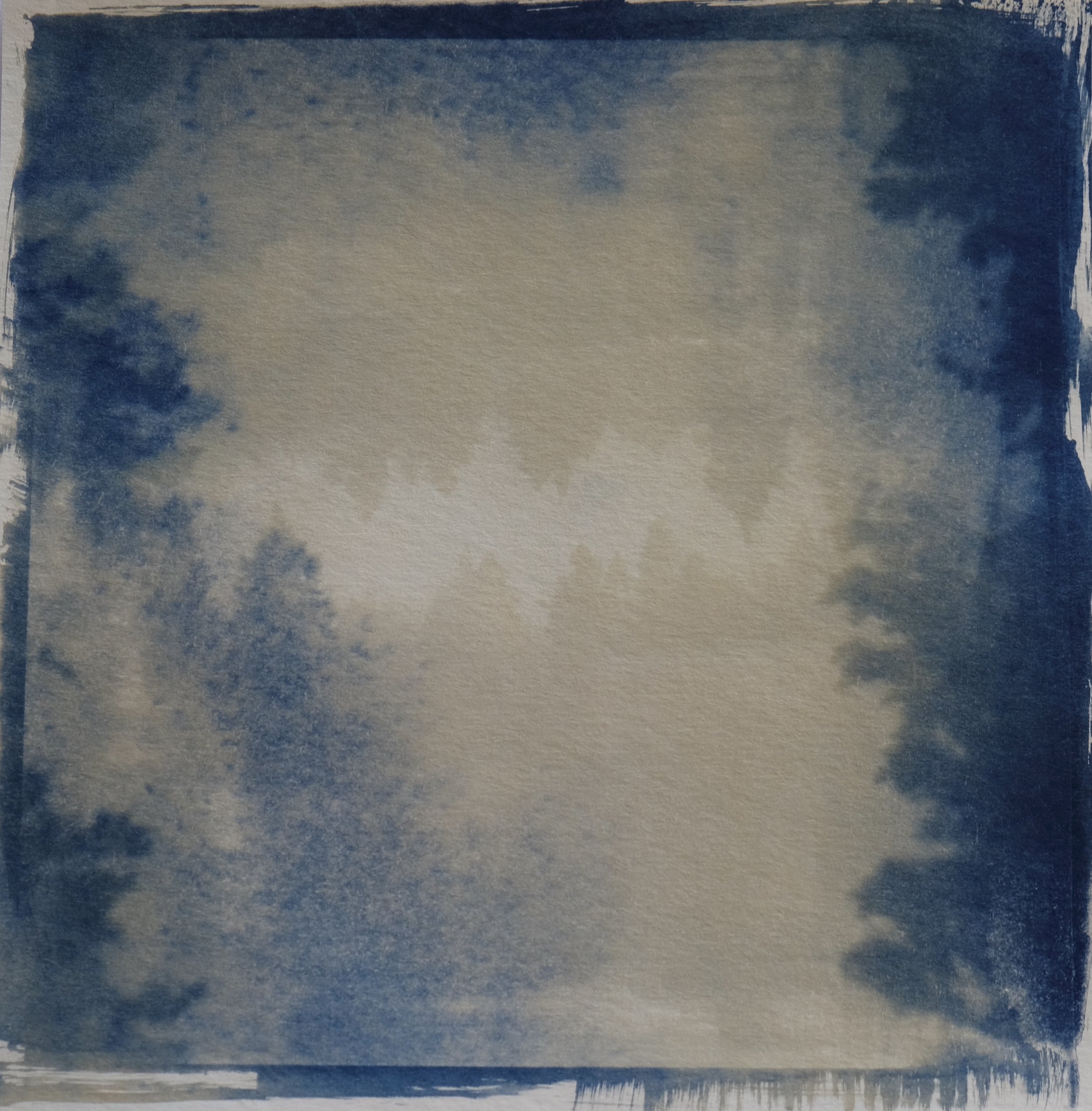 cyanotype 9.JPG