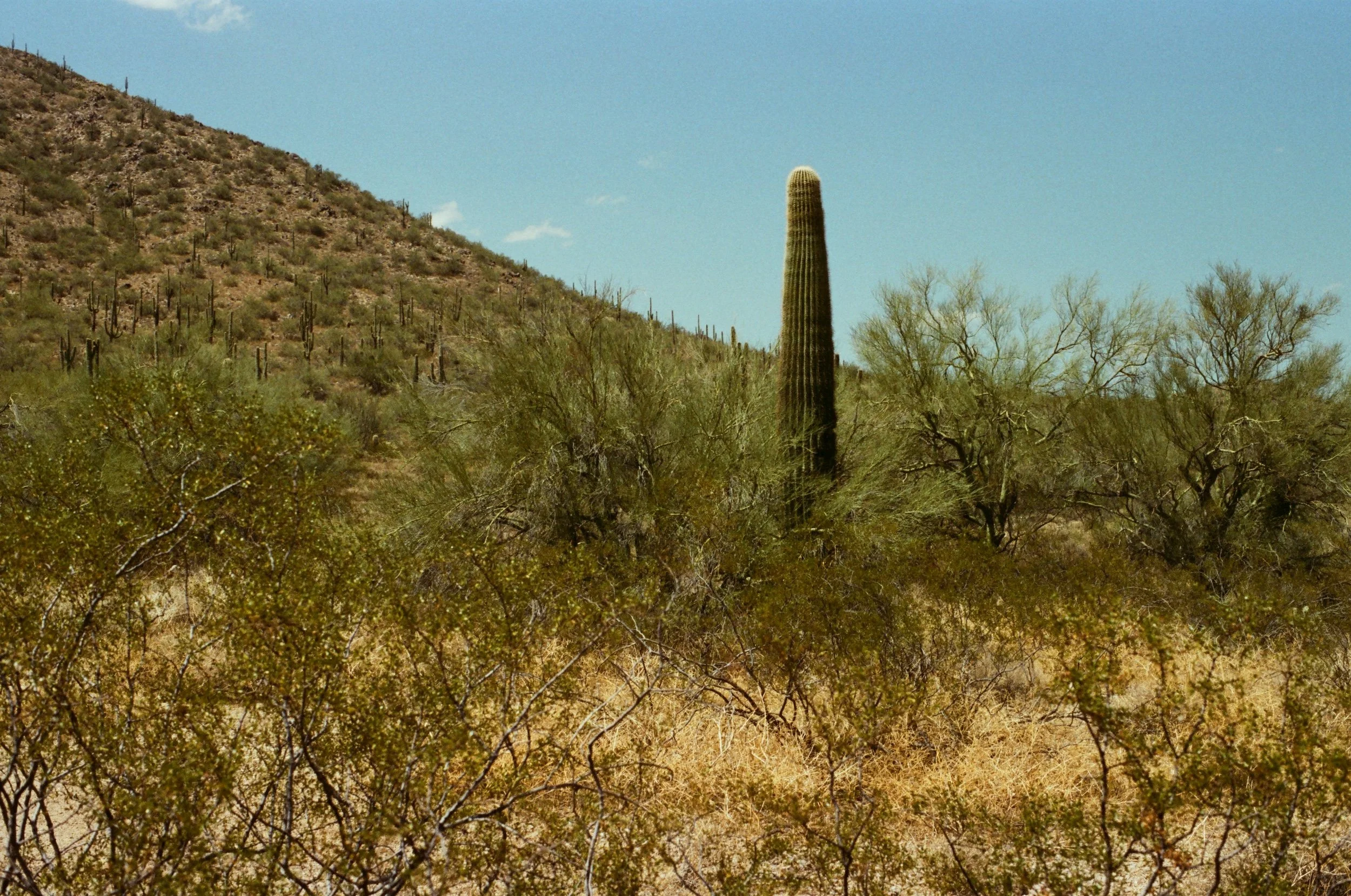 000993530004.jpg