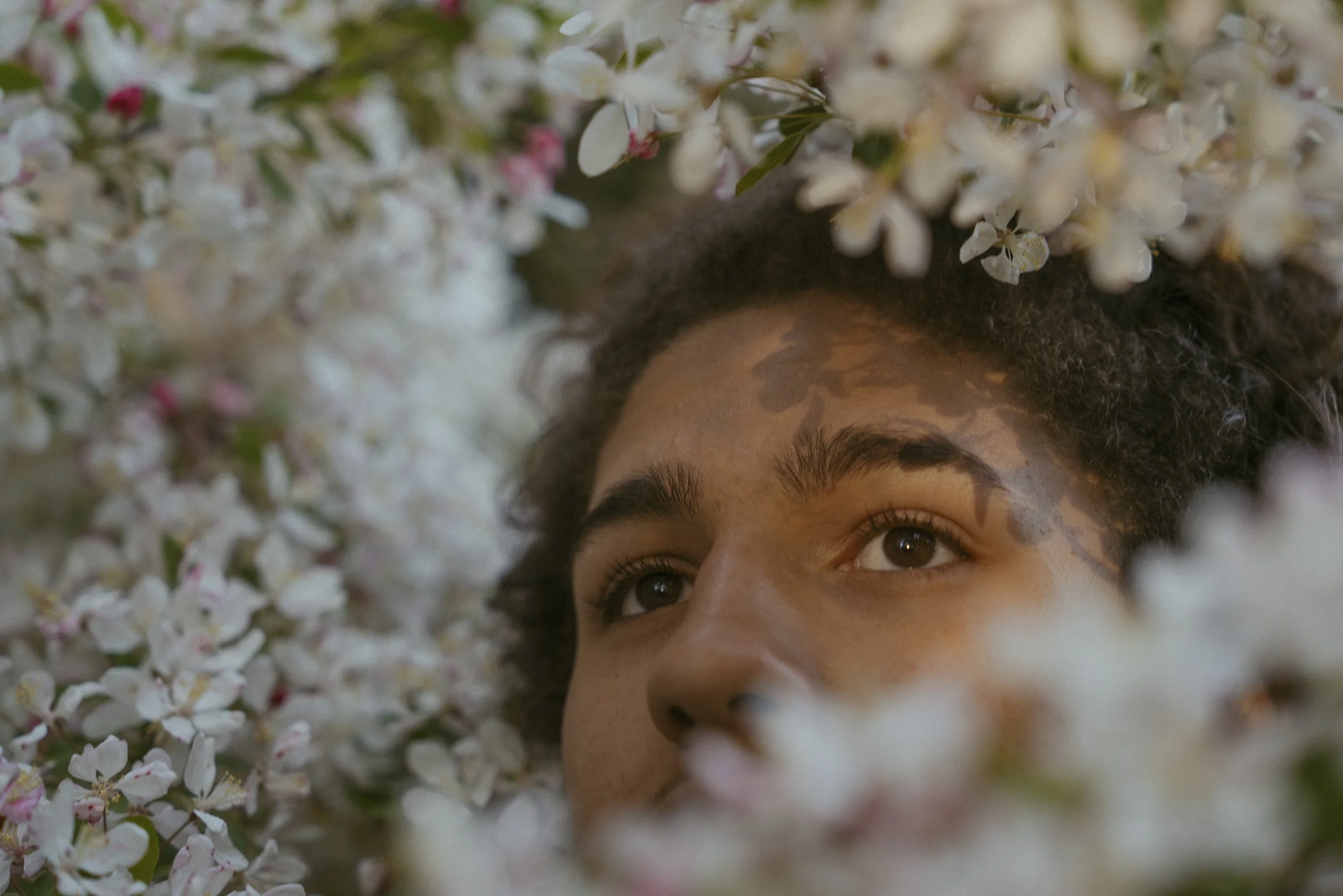 jeremiah-26.jpg