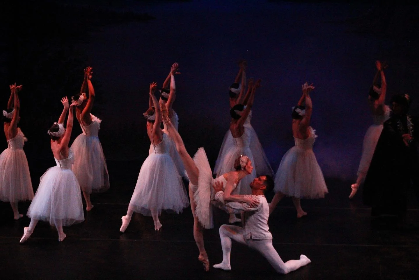 Thank you to everyone who joined us for Dance Del Bello&rsquo;s adaptation of Swan Lake!

If you would like to see more performance dates and opportunities to see the company, please consider donating to one of our many campaigns online on our websit