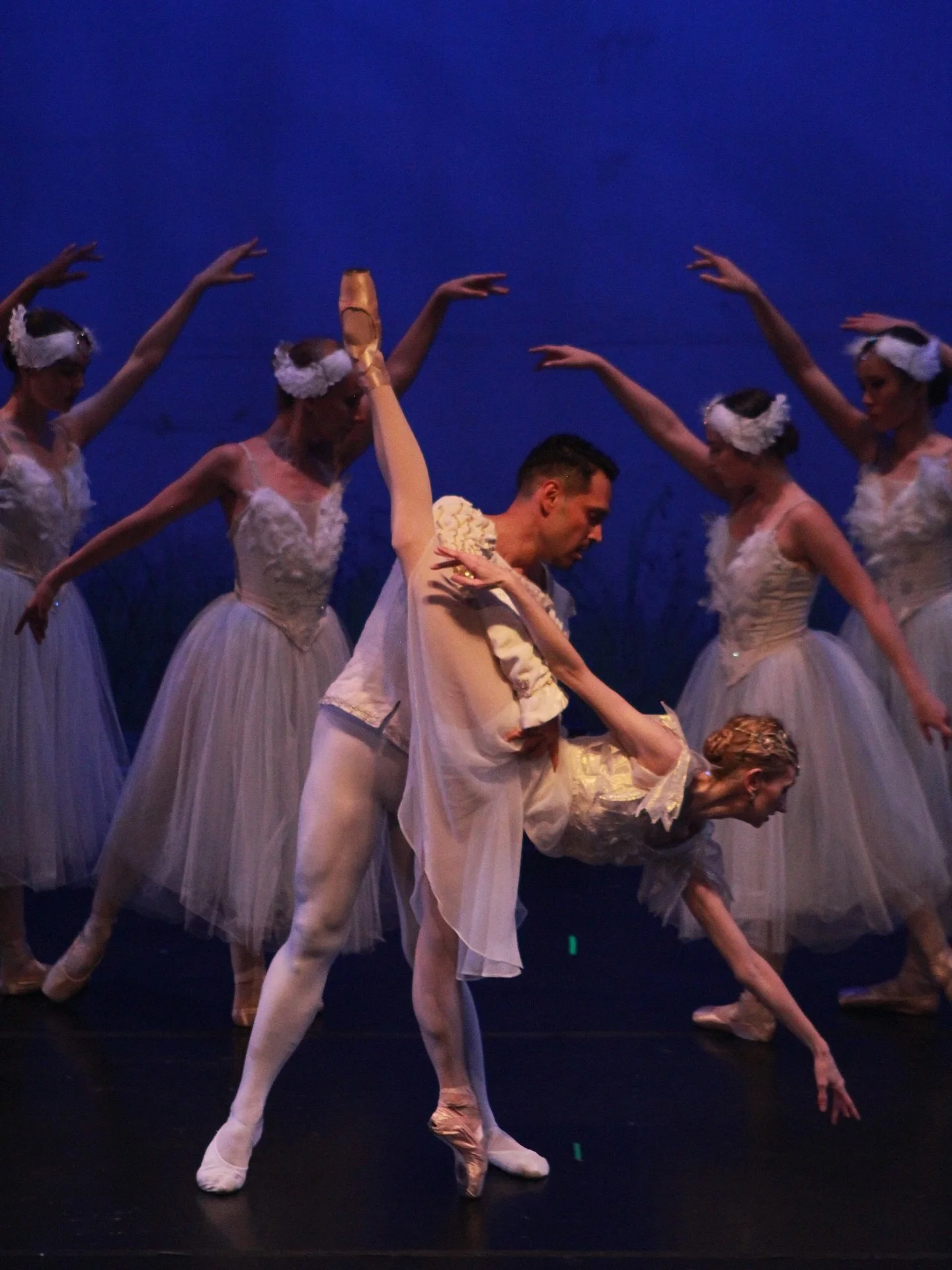 🦢✨ May our hearts move today as we gather with the grace of swans, finding harmony, gratitude, and quiet beauty in the company we keep. (&amp; room for the last minute guests) 🤍

🦢✨🍁 🧡🌙
Photography courtesy of @lady.manipura &amp; #reposts of @