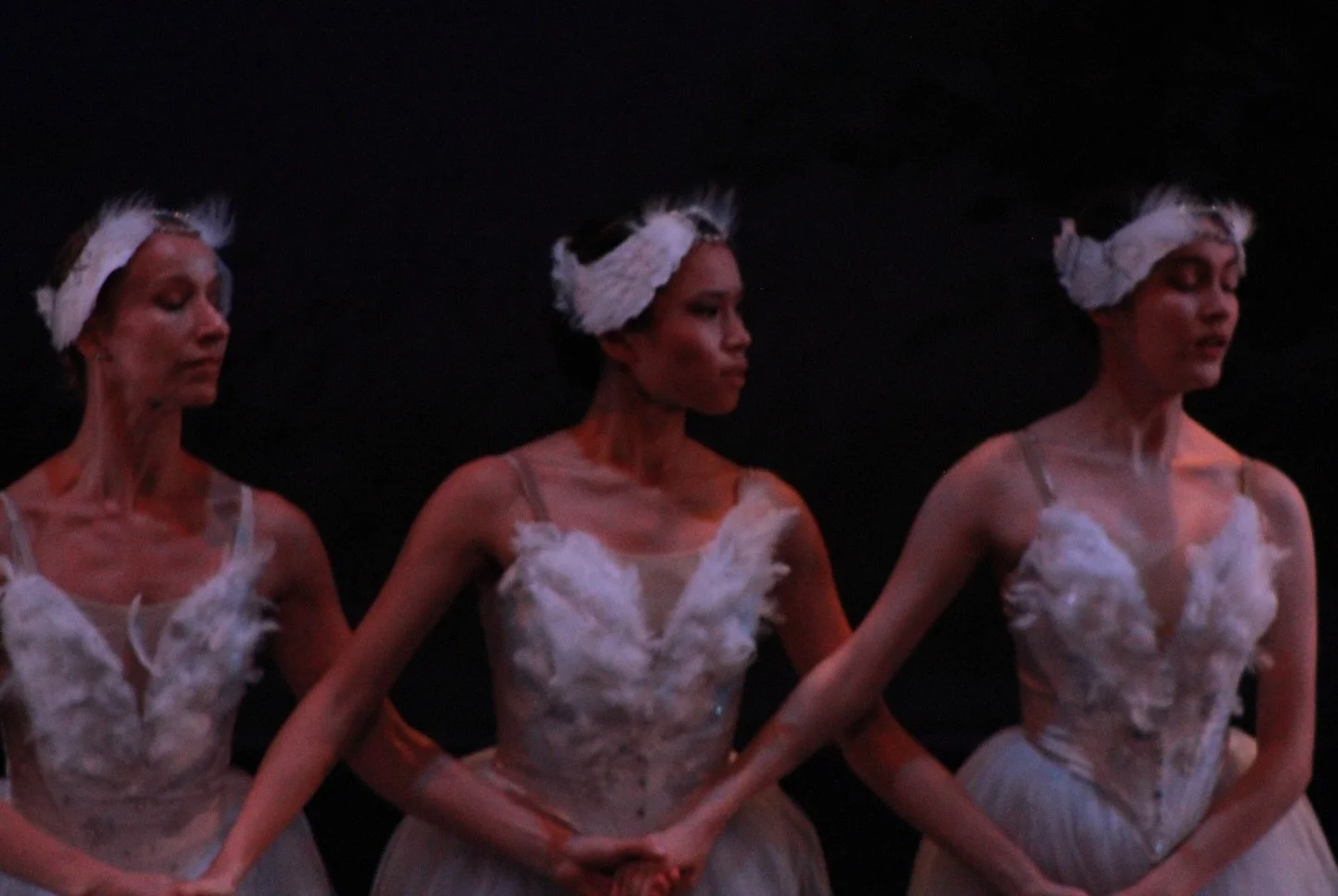 Pas De Quatre was definitely a highlight of Swan Lake and our year! 🦢✨ 

Feeling inspired? Your support today helps carry this into the new year. 🤍

#YearEndGiving #SupportTheArts #SwanLake