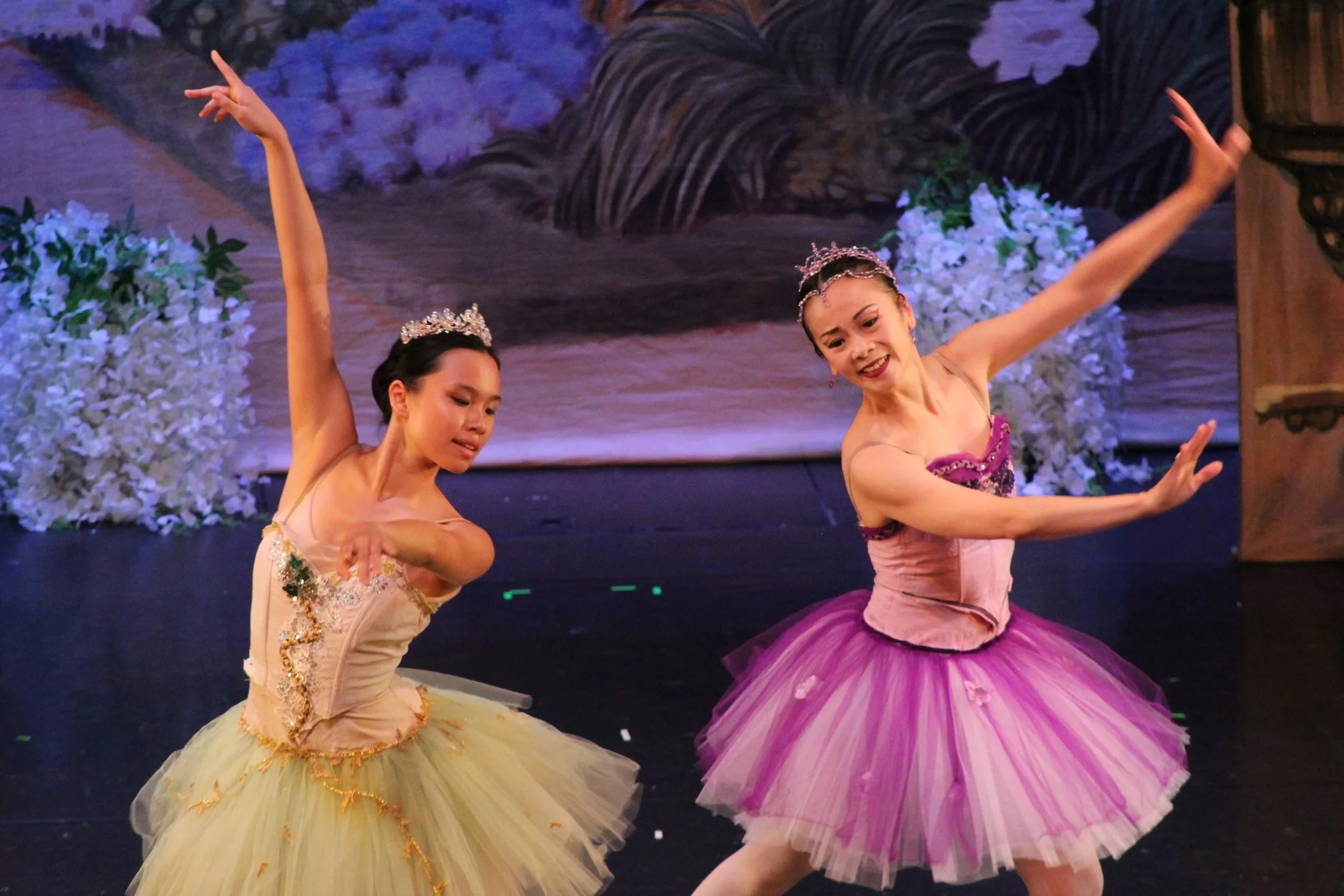 Our Repertoire