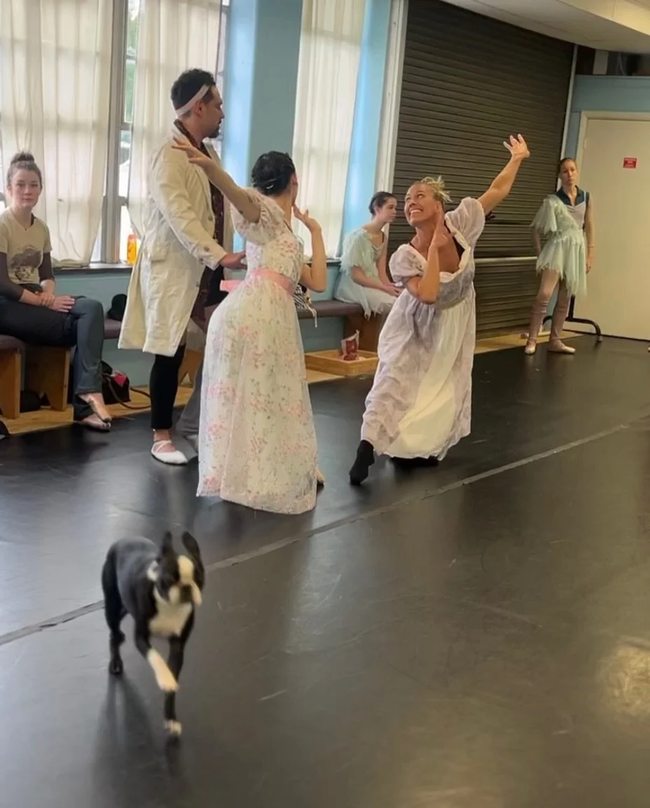 It appears Beauty and the Beast rehearsals have taken a delightfully dramatic turn&hellip;

While Beauty dodges the suitor&rsquo;s pursuit, her sisters seem far more interested in entertaining the suitor themselves. 

Chaos, charm, and plenty of laug