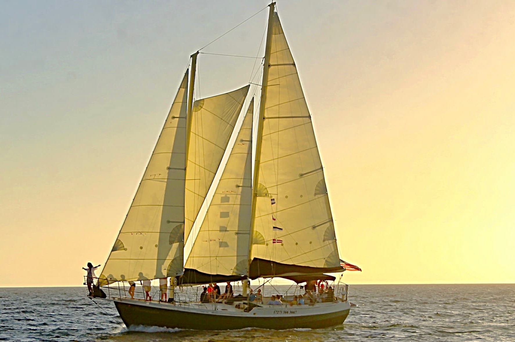 sailboat charter clearwater fl