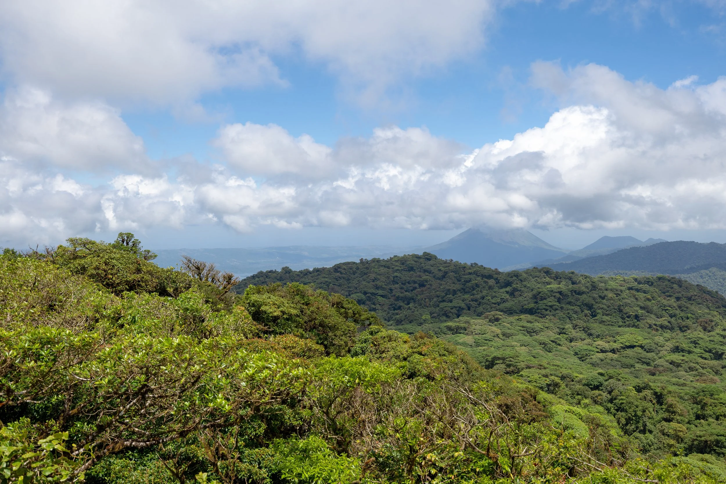 375A7808.jpg