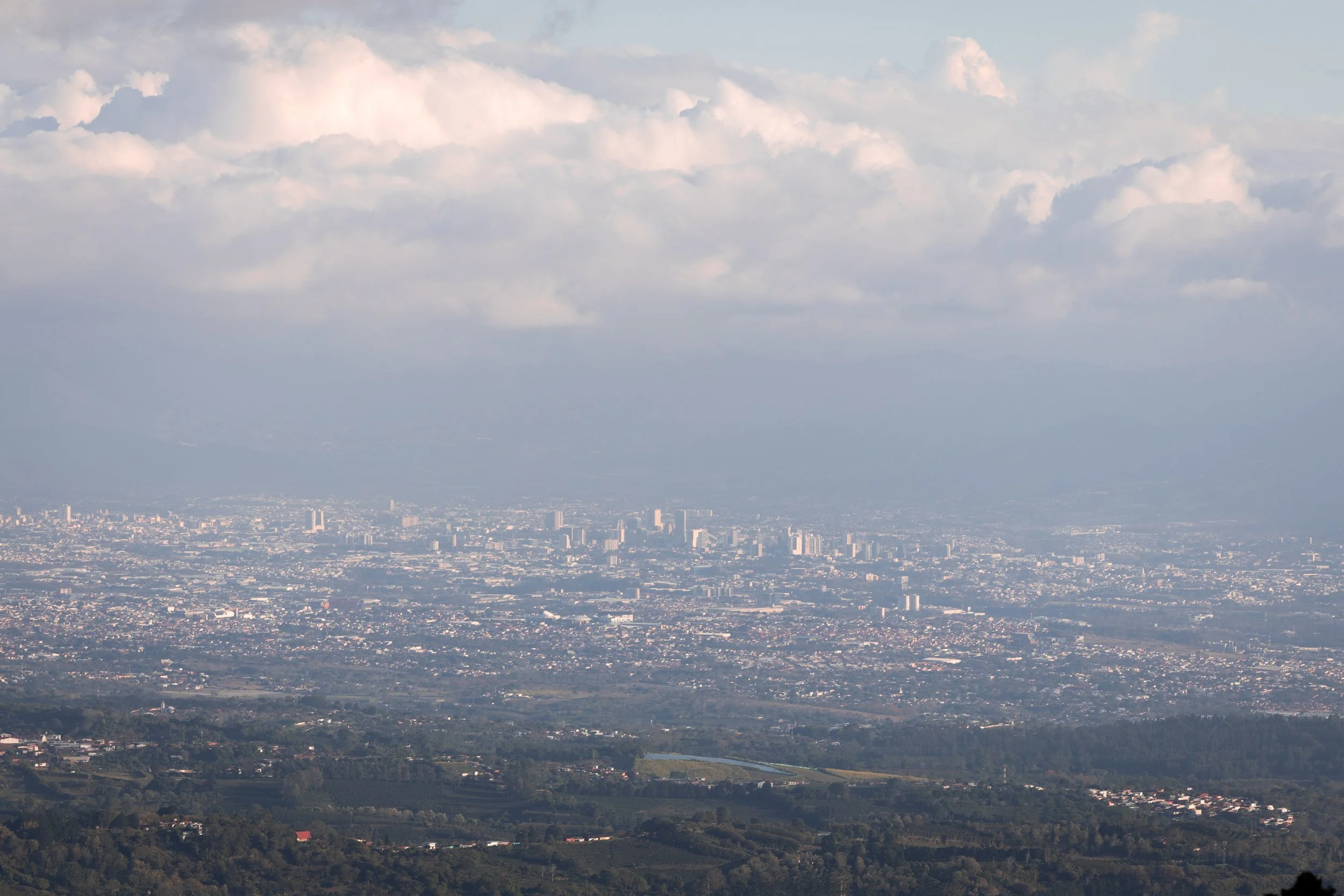 375A8254.jpg