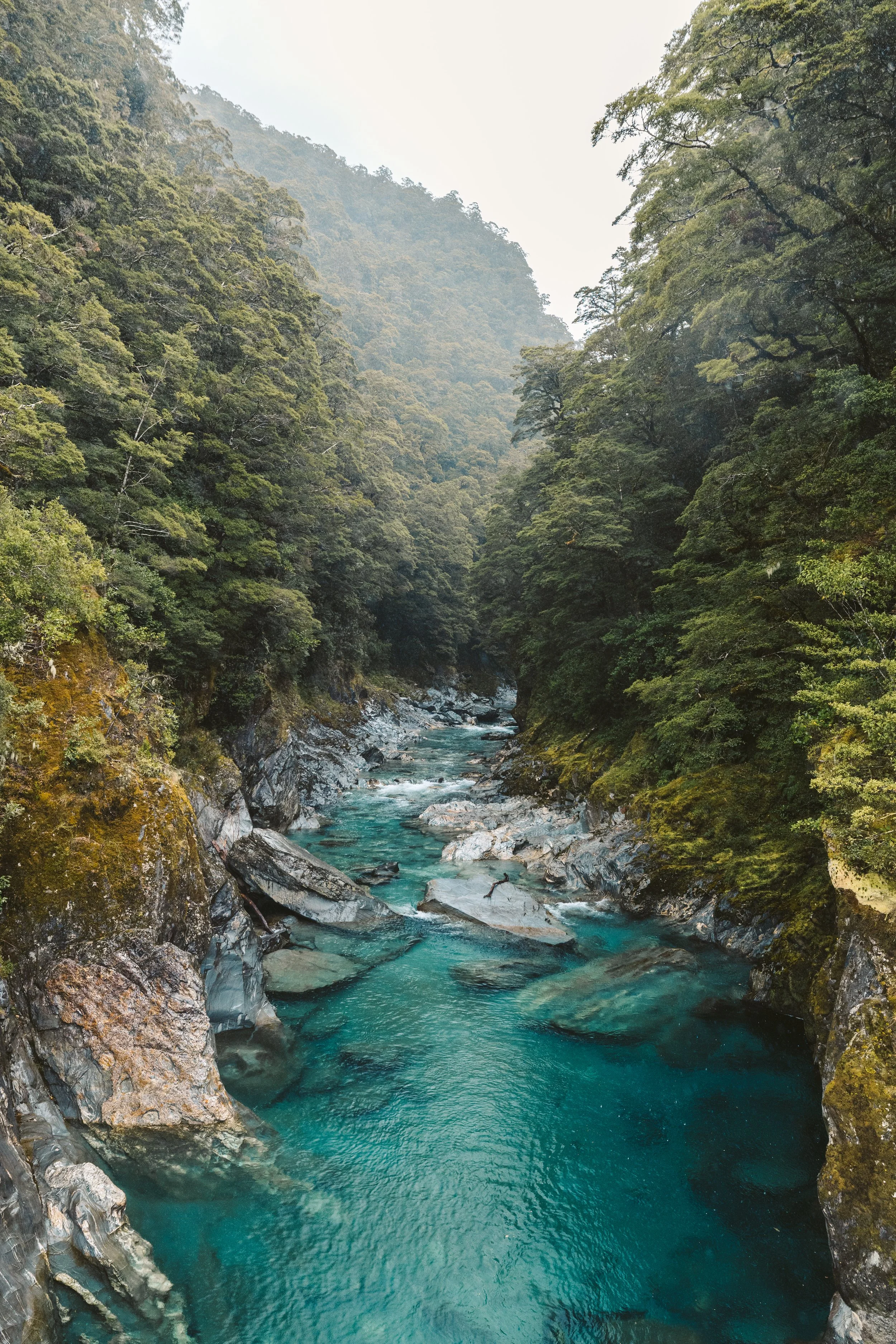 Blue River.jpg