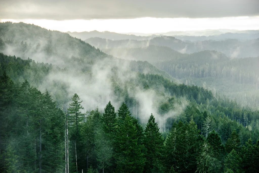 Cascadia For the Wild.jpg