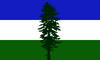 The Cascadia Doug Flag — Cascadia Department of Bioregion