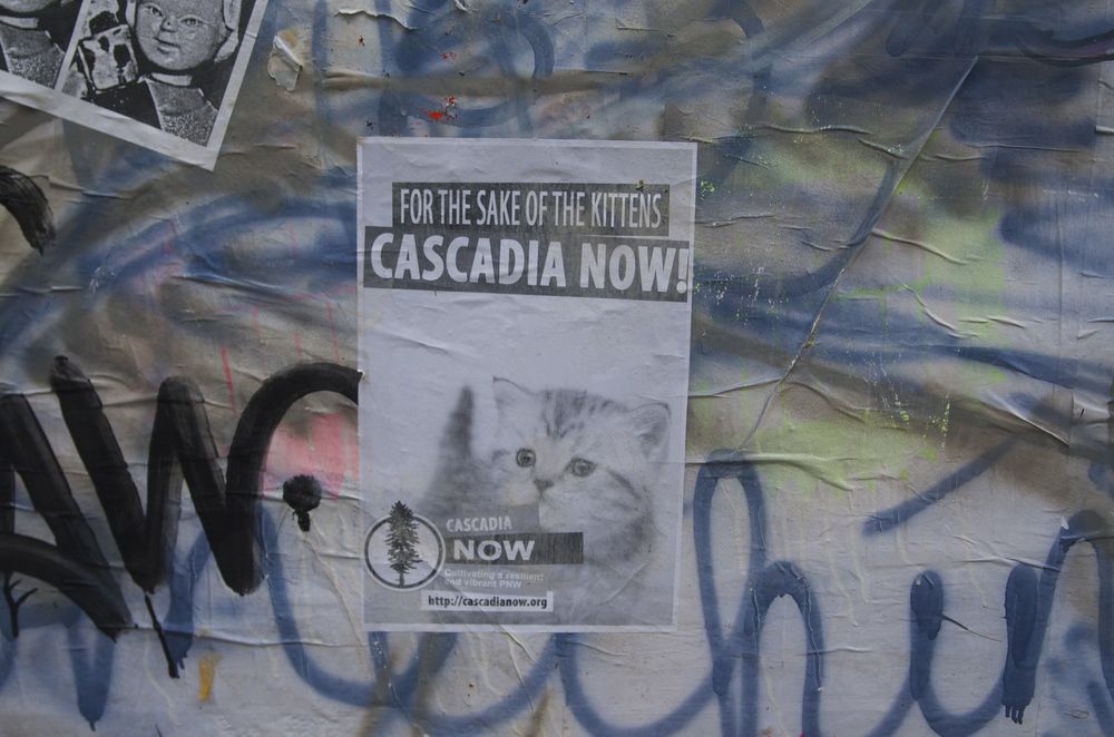 For the Sake of the Kittens Cascadia Now Street Art Graffiti.jpg
