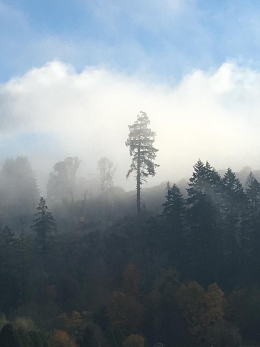 Cascadia through the Mist