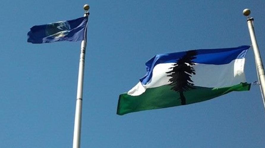 Cascadia Flag flying at ShellNO Protests