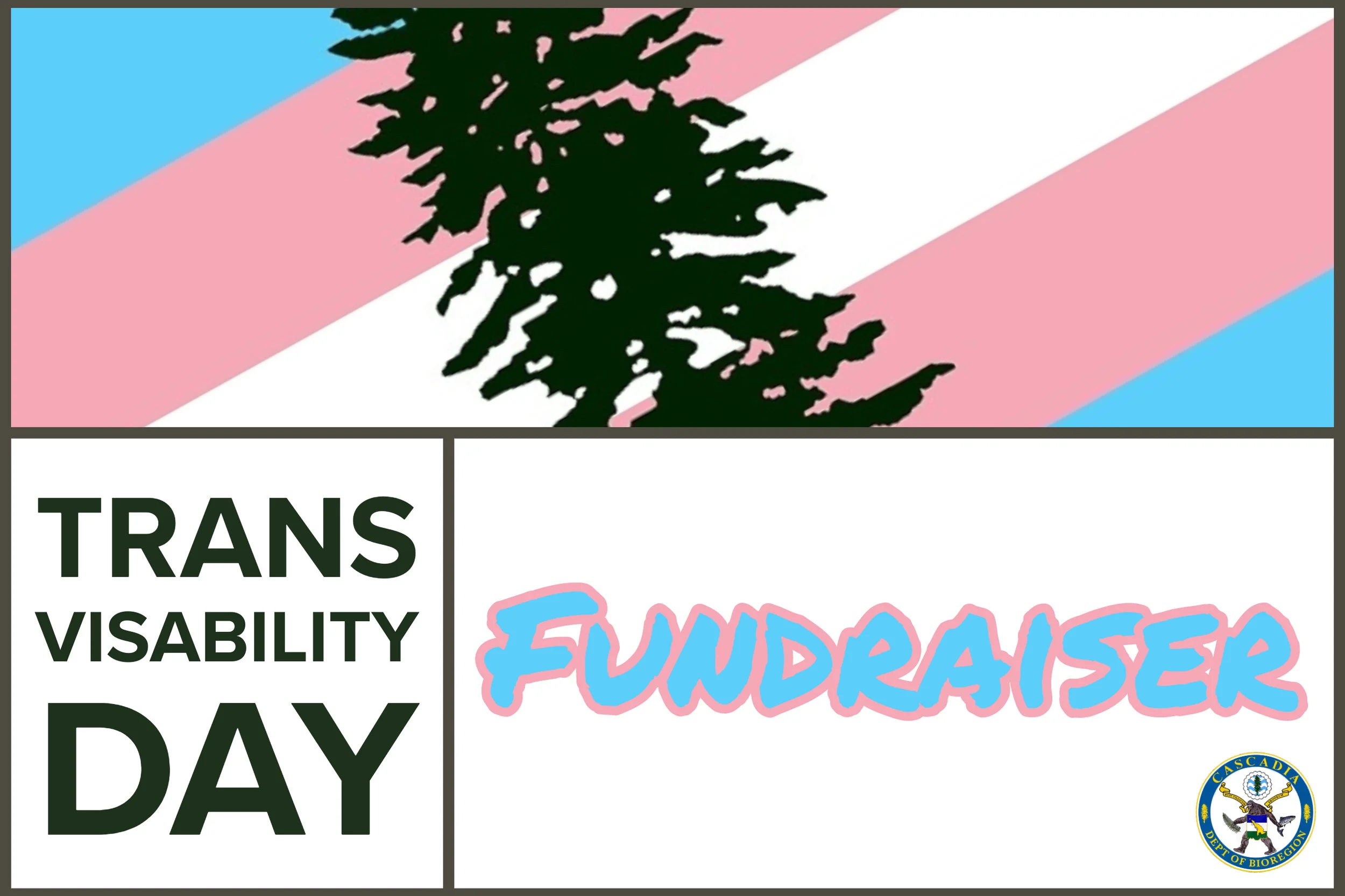 Trans Rights Header.jpg