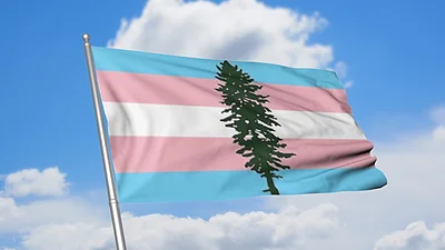 Cascadia Trans Flag.jpg