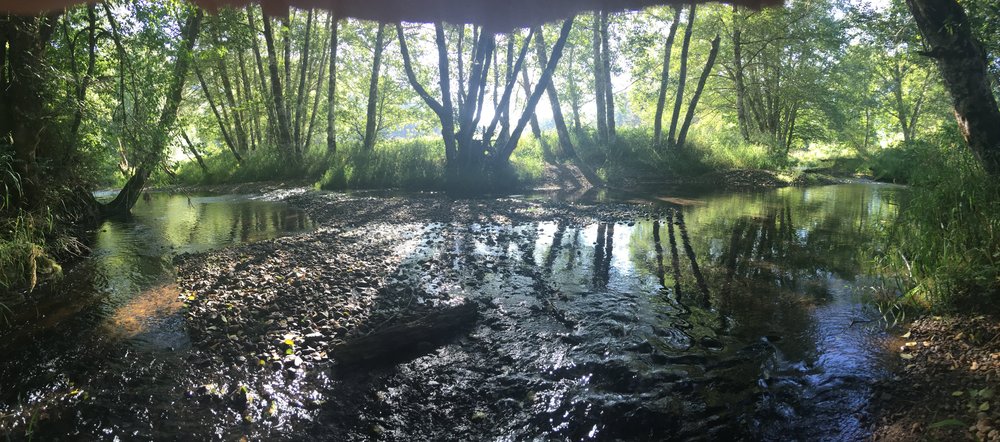 NorthRiverConfluence.jpeg