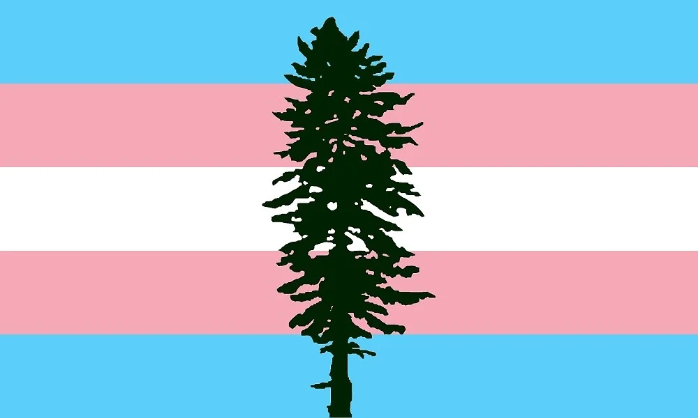 Cascadia Trans Flag.jpg