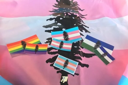Cascadia+Trans+Flag.jpg