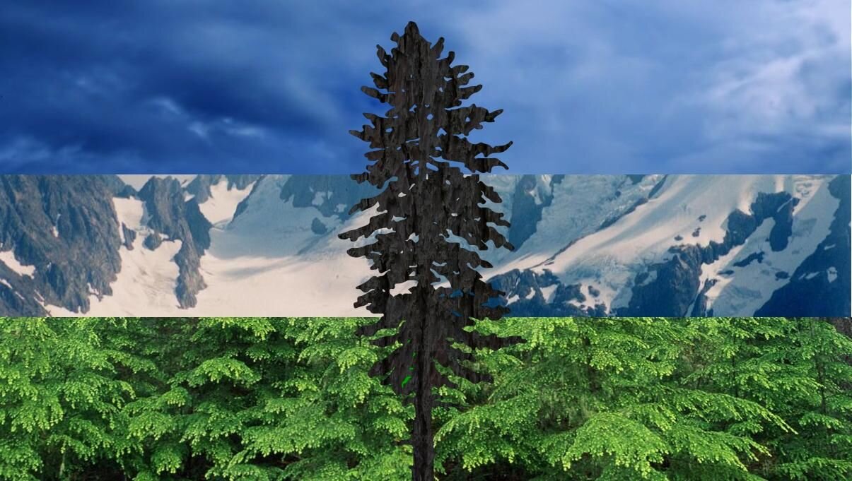 Share Your Cascadia! Link to Google Form 