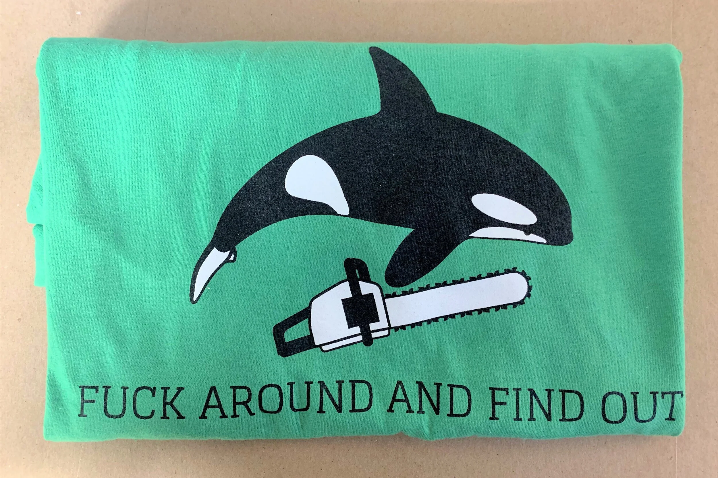 Fuck Around and Find Out T Shirt