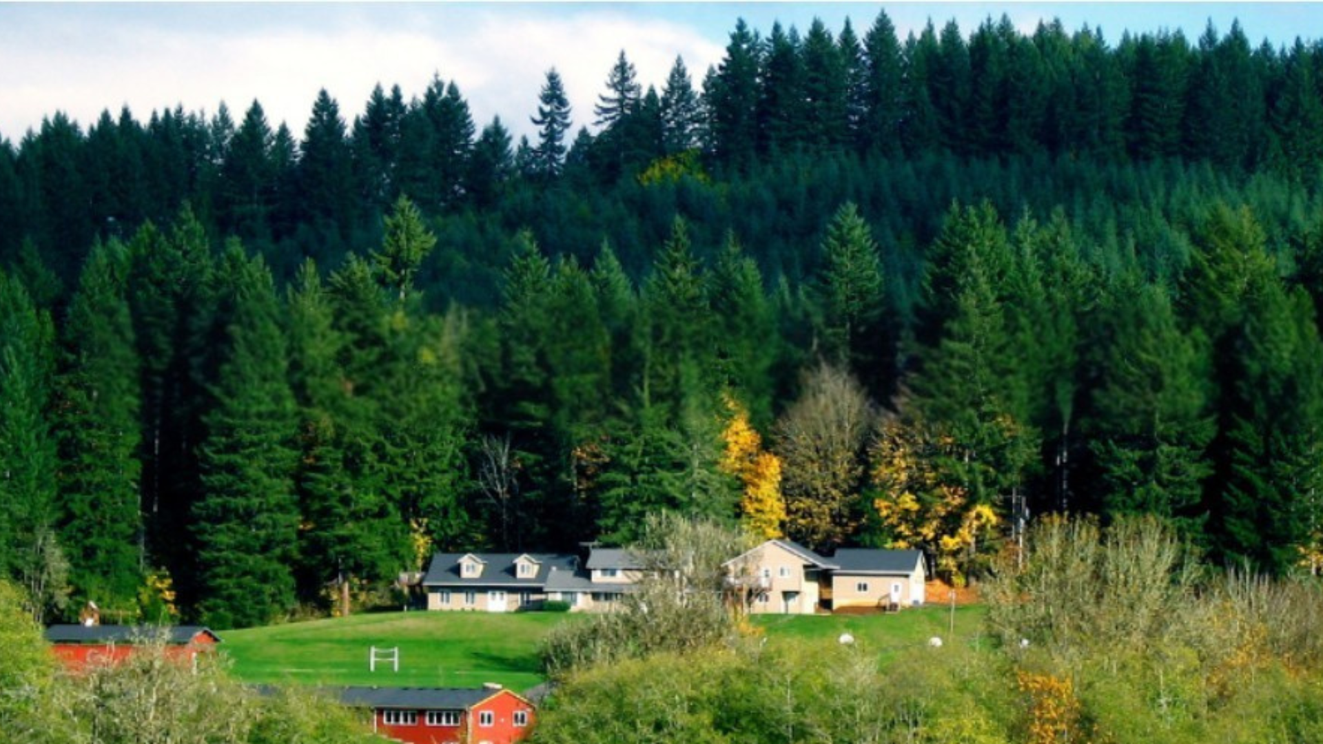 Site Announcement: Turtle Island Bioregional Congress 11