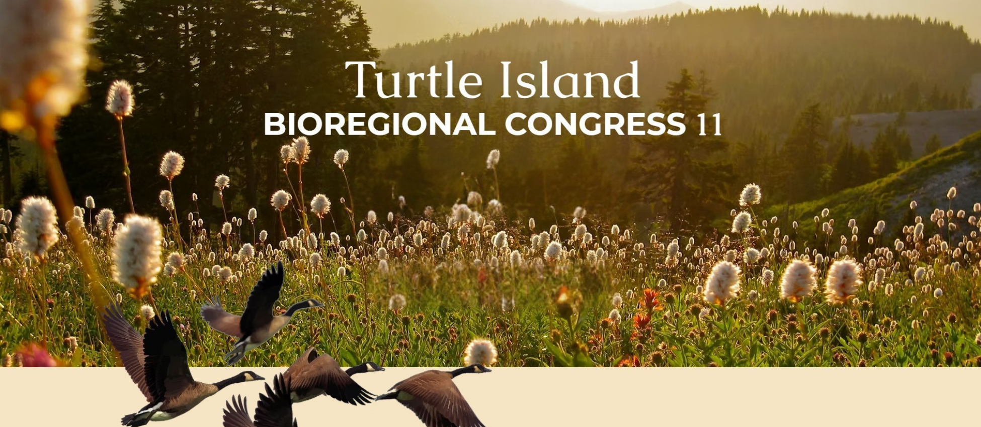Turtle Island Bioregional Congress 11