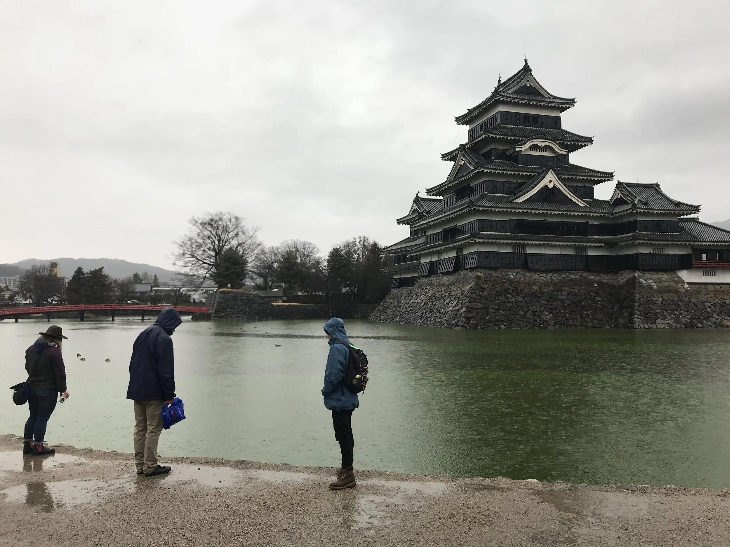 Matsumoto Castle on a rainy day, featuring some very friendly ducks in the background.