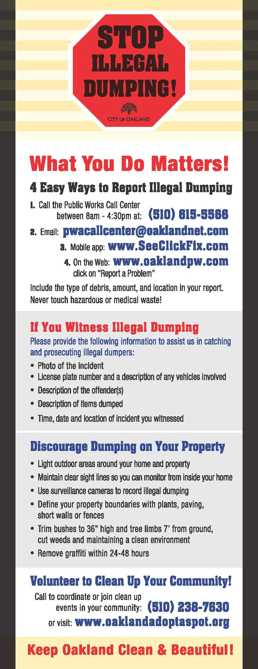 Informational Brochure, click to enlarge.