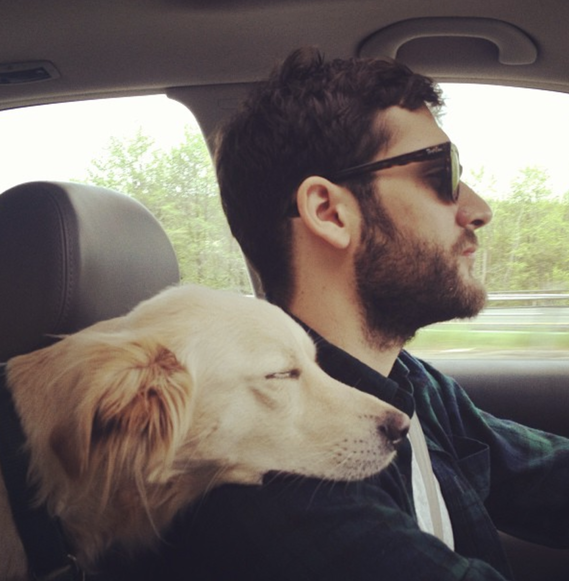 ZACH GOLDEN