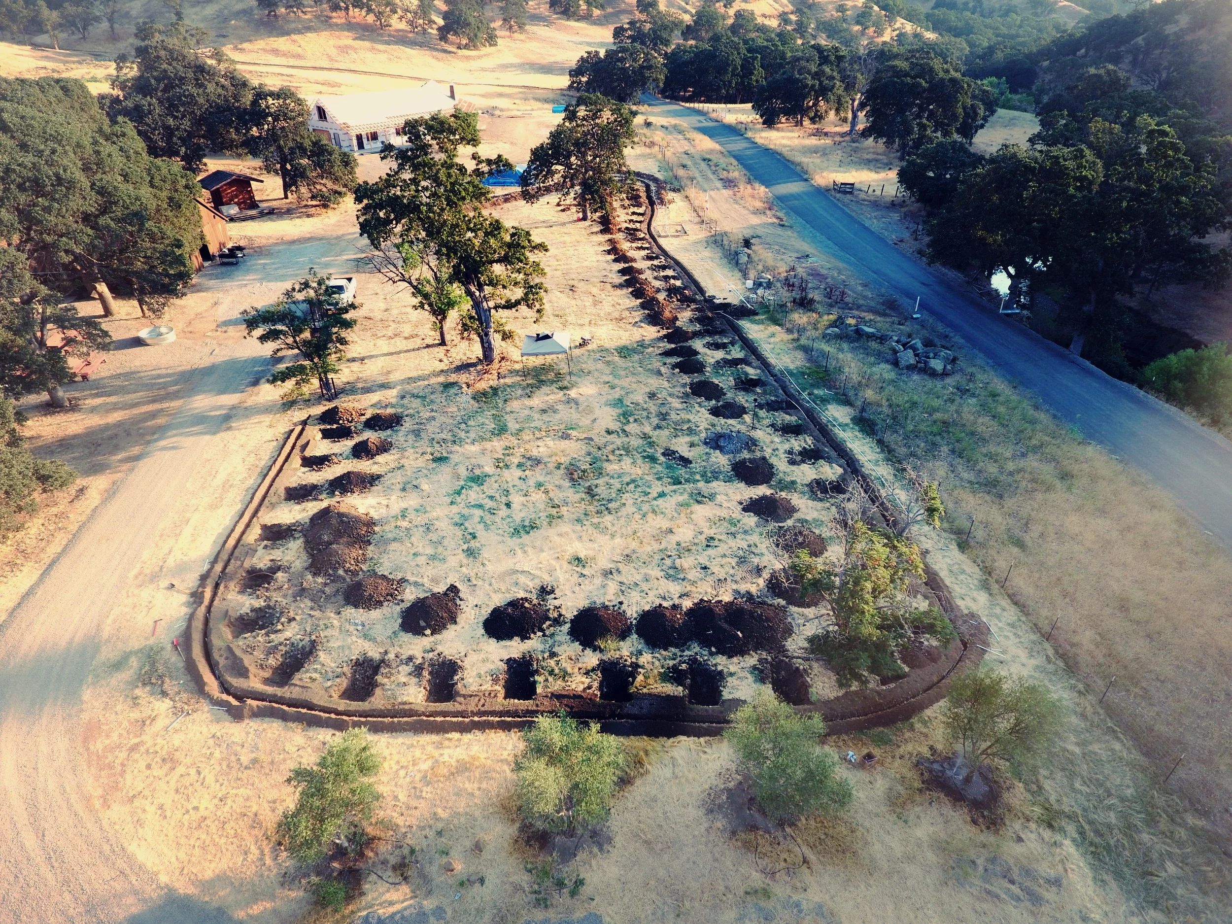 holes dug 3.jpg