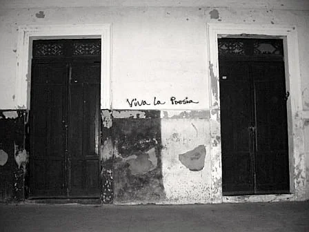 viva la poesia.jpg
