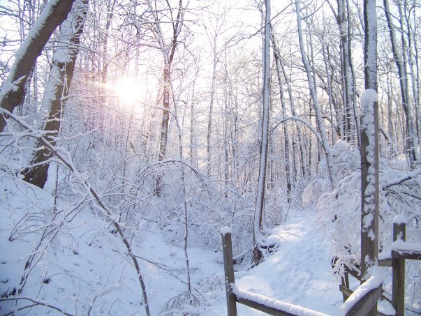 fatima in winter trails.jpg