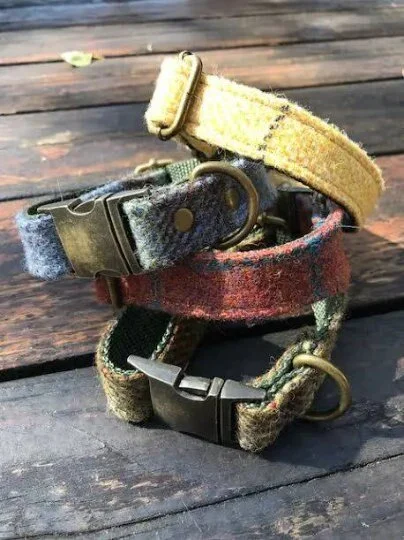 https://i.etsystatic.com/15622432/r/il/53f3f8/3566106580/il_fullxfull.3566106580_7k60.jpg