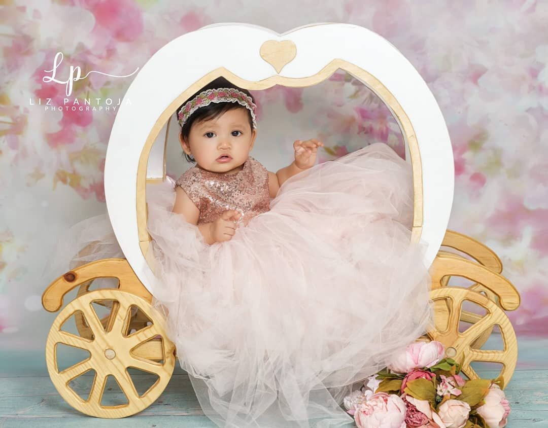 Little Cinderella❤
Do you need 9 months Portraits?
Text me for more details.